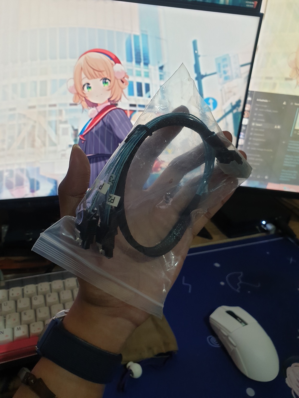 SASCable